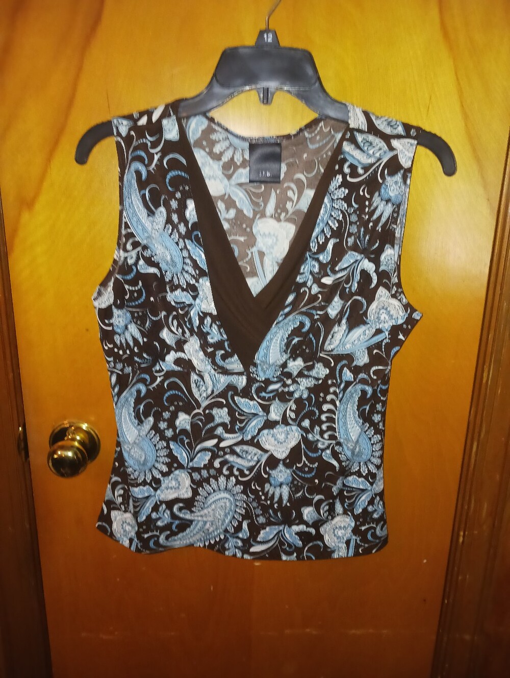Sleeveless V-Neck Paisley Print Top - Blue on Black